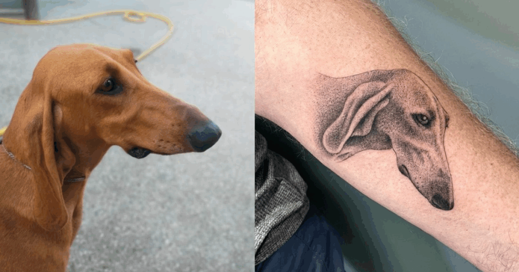OldInkTatoo_NoiConVoi