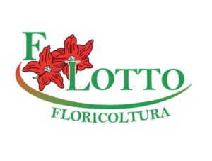 F-lotto-verbania-noi-con-voi